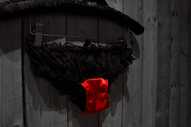 Satin Briefs